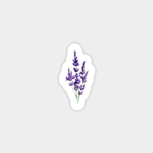 Watercolor Lavender Sticker